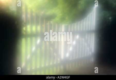 Peint en blanc, de style impressionniste de piquetage portes coupé avec une courbe gracieuse avec de l'herbe arbres et arbustes au-delà dans la lumière du soir Banque D'Images