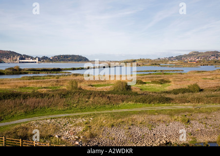 La réserve RSPB Conwy lagunes côtières d'habitat de prairie à côté de l'estuaire de la rivière Conwy Conwy Llansanffraid North Wales UK Banque D'Images