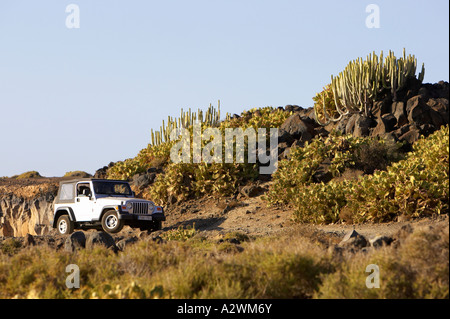 Jeep Wrangler capote sport 4x4 la conduite hors route sur un chemin de terre à travers champs sur les cactus Banque D'Images