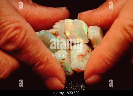 L'Australie du Sud. Coober Pedy mines. Close-up of man's hands holding uncut opales. Banque D'Images