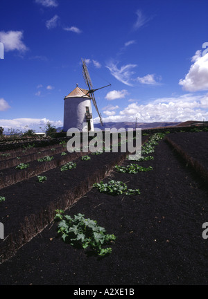 Dh TIAGUA LANZAROTE Domaine de cultures et blanc moulin fortifié Banque D'Images