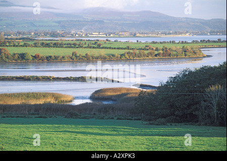 Le comté de Waterford Irlande vue panoramique de Dungarvan et pâturages en premier plan Banque D'Images