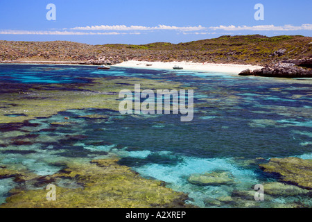 Coral Beach - Mary Cove et de Rottnest Island, Australie de l'ouest de l'Ouest près de Perth WA Banque D'Images