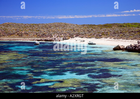 Coral Beach - Mary Cove et de Rottnest Island, Australie de l'ouest de l'Ouest près de Perth WA Banque D'Images