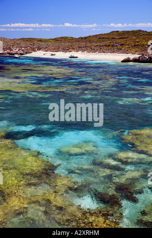 Coral Beach - Mary Cove et de Rottnest Island, Australie de l'ouest de l'Ouest près de Perth WA Banque D'Images