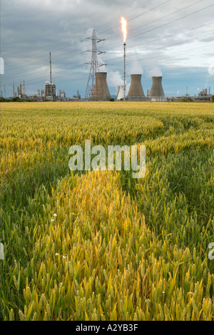 Grangemouth, Région de Falkirk, Ecosse, Royaume-Uni. Banque D'Images