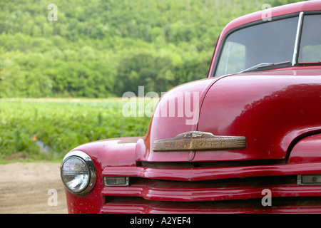 1950 s rouge modèle 3100 Chevrolet pickup stepside le long chemin de terre, North Carolina USA Banque D'Images