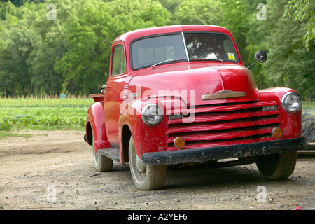 1950 s rouge modèle 3100 Chevrolet pickup stepside le long chemin de terre, North Carolina USA Banque D'Images