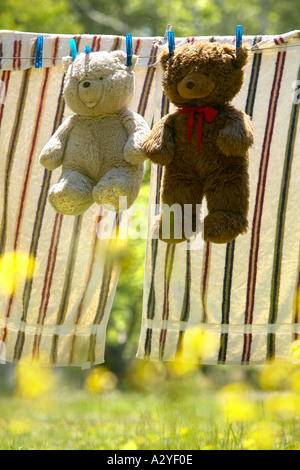 Beige et brun mignon nounours accroché sur fil à linge pour sécher avec pinces à linge en jaune à fleurs sauvages jardin Maine USA Banque D'Images