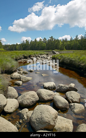 Maine Marsh Creek rochers graminées Banque D'Images