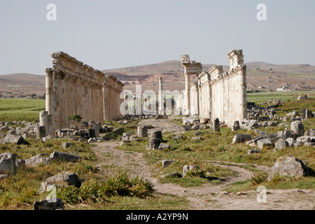 Ruines d'Apamée, en Syrie, au Moyen-Orient Banque D'Images