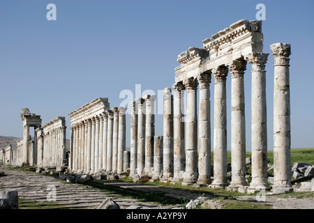 Ruines d'Apamée, en Syrie, au Moyen-Orient Banque D'Images