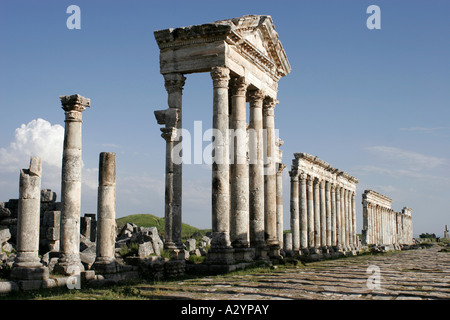 Ruines d'Apamée, en Syrie, au Moyen-Orient Banque D'Images