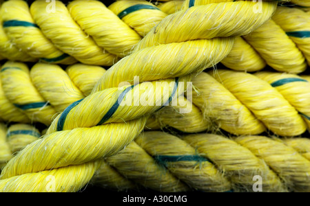 Close up of coiled corde jaune Banque D'Images