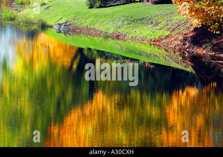 Les érables à l'automne et willow reflète dans une rivière encore Banque D'Images