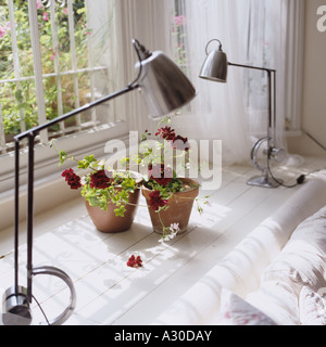 Deux lampes anglepoise sur fenêtre lambris siège avec des plantes en pot Banque D'Images