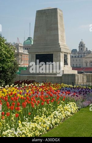 Spectacle printanier de tulipes dans le parc St James Royal et le Mémorial des gardes sur les gardes du cheval avec les bâtiments Whitehall au-delà de Westminster Londres Angleterre Royaume-Uni Banque D'Images