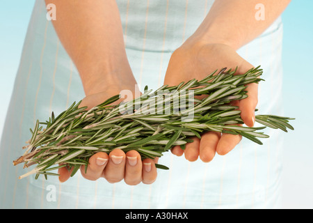 WOMAN HOLDING FRESH ROSEMARY Banque D'Images