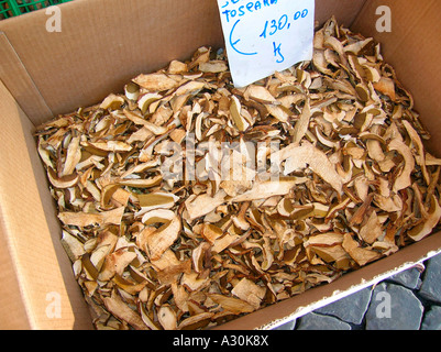 L'ITALIE, ROME, CAMPO DE FIORI, marché aux cèpes Banque D'Images