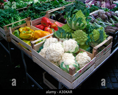 Stand DE FRUITS ET LÉGUMES, MARCHÉ DE CAMPO DE FIORI, ROME, ITALIE Banque D'Images