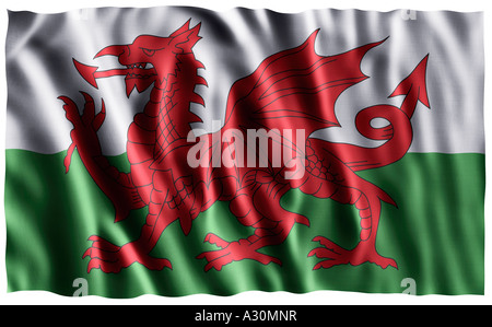 Drapeau national du pays de Galles Y Ddraig Goch le dragon rouge Banque D'Images