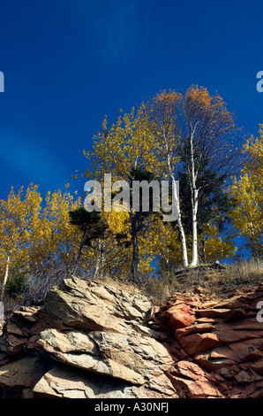 Regardant les arbres d'automne sur une falaise Banque D'Images