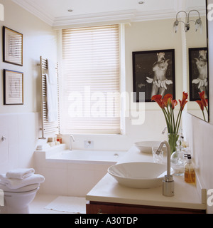 Dans une salle de bains moderne blanc London townhouse Banque D'Images