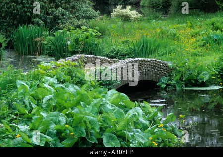 Jardin Hall Hoveton passerelle basse silex Lysichiton americana Marsh de l'eau printemps bog Banque D'Images