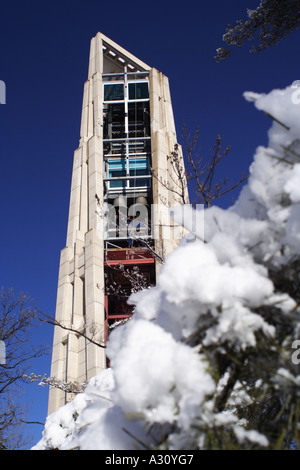 Millennium Carillon de Naperville et vue de la neige sur l'arbre Banque D'Images