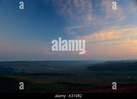 Vue depuis l'établissement Hampton Ridge avant l'aube nouvelle Forêt Hampshire England UK Banque D'Images