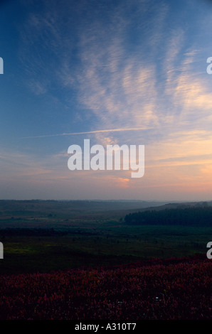 Vue depuis l'établissement Hampton Ridge avant l'aube nouvelle Forêt Hampshire England UK Banque D'Images