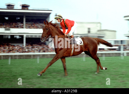 Fin des années 70, Vintage horse and jockey de courses de Newmarket Willie Carson va commencer Banque D'Images