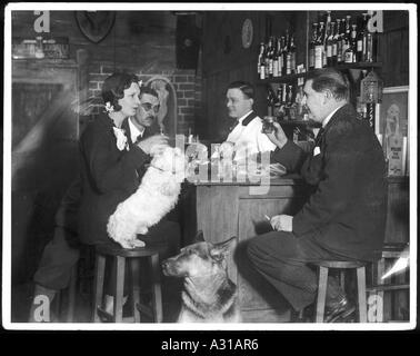 Club chiens Bar à cocktails Banque D'Images