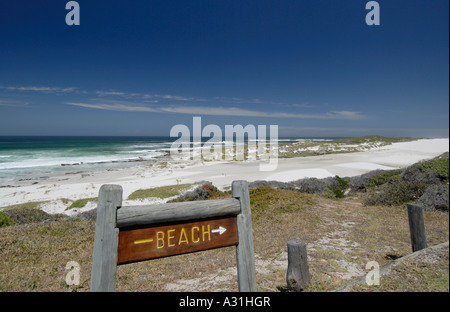 Un panneau en bois disant Beach en pointant sur une étendue de sable d'argent et bleu océan avec aucune des personnes présentes Banque D'Images