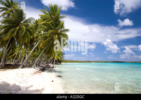 Takapoto plage Tuamotu Polynésie Française Banque D'Images