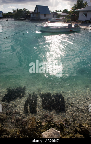 Les huîtres dans l'eau black pearl farm Tuamotu Polynésie Française de Takaroa Banque D'Images