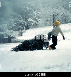 En faisant glisser l'enfant de l'arbre de Noël fraîchement coupé dans la neige couverts woods Banque D'Images