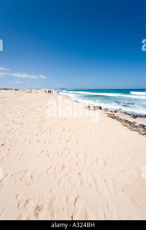 Plage, dans le parc naturel de Corralejo, Fuerteventura, Îles Canaries, Espagne Banque D'Images