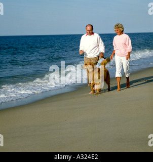 Couple de personnes âgées à leur Golden Retriever dog le long de la côte de l'océan Banque D'Images