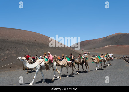 Promenades en chameau dans le Parc National de Timanfaya, Lanzarote, îles Canaries, Espagne Banque D'Images