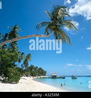 Pigeon Point, Tobago, Trinité-et-Tobago, les Caraïbes - prise en 1998, avant que la plage était gâché par le développement excessif Banque D'Images