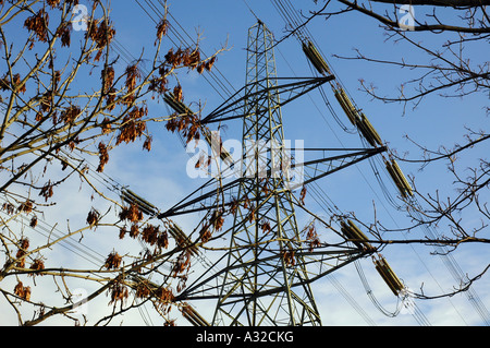 Pylône de l'électricité fixée contre le ciel bleu et vue à travers les feuilles et les graines d'un arbre artificiel en contraste avec les formes naturelles Banque D'Images