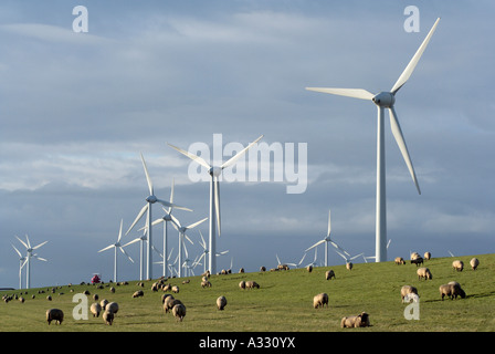 Des moutons paissant près d'une ferme éolienne, Allemagne Banque D'Images