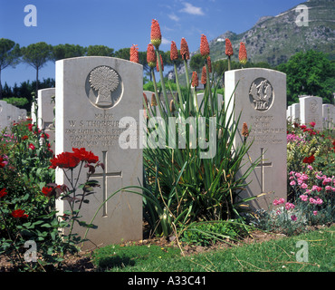 Commonwealth War Graves avec des fleurs en été, Monte Cassino Italie Banque D'Images