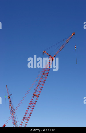 Les grues de construction contre le ciel bleu orlando florida usa Banque D'Images