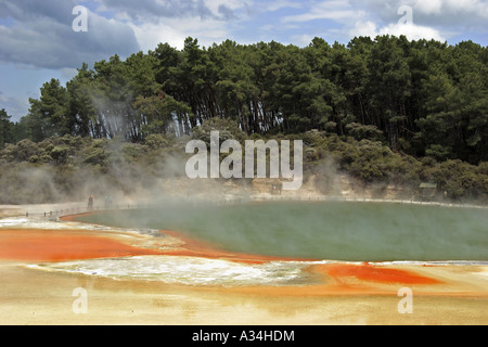 Champagne Pool dans le thermique Wonderland, Nouvelle-Zélande Banque D'Images