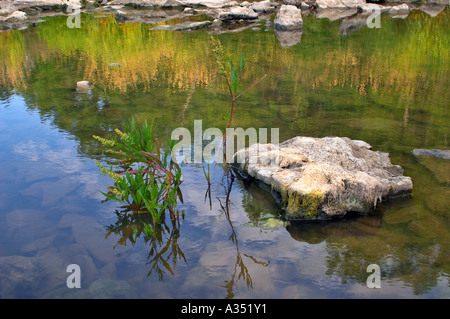 L'escarpement du Niagara, Ontario, Canada. Ball's Falls, une partie du sentier Bruce Parc National. Banque D'Images