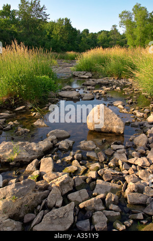 L'escarpement du Niagara, Ontario, Canada. Ball's Falls, une partie du sentier Bruce Parc National. Banque D'Images