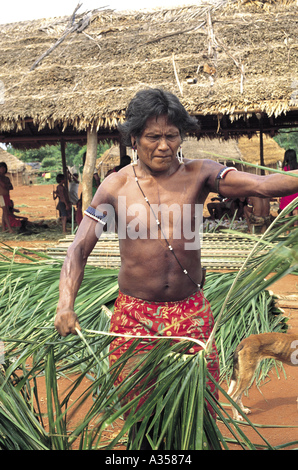 Un Ukre village Kayapo Brésil partage l'homme des branches de palmier pour couvrir de chaume d'une maison de la réserve autochtone de Xingu Banque D'Images