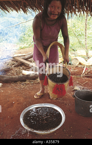 Un Ukre village Brésil Banque D'Images